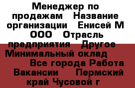 Менеджер по продажам › Название организации ­ Енисей-М, ООО › Отрасль предприятия ­ Другое › Минимальный оклад ­ 100 000 - Все города Работа » Вакансии   . Пермский край,Чусовой г.